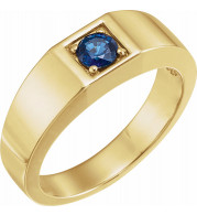 14K Yellow Sapphire Men's Ring - 9739101P