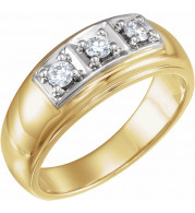 14K Yellow & White 1/3 CTW Diamond Ring - 60693209272P