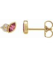14K Yellow Pink Tourmaline & .05 CTW Diamond Earrings - 87095631P