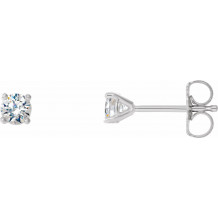 14K White 1/4 CTW Diamond 4-Prong Cocktail-Style Earrings - 297626068P