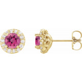 14K Yellow 4.5 mm Round Pink Tourmaline & 1/4 Diamond Earrings - 868396033P photo