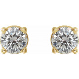14K Yellow 1/3 CTW Diamond Earrings - 187470207P photo 2