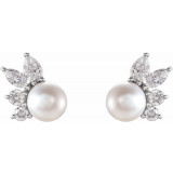 14K White Akoya Cultured Pearl & 1/2 CTW Diamond Earrings - 87079605P photo 2